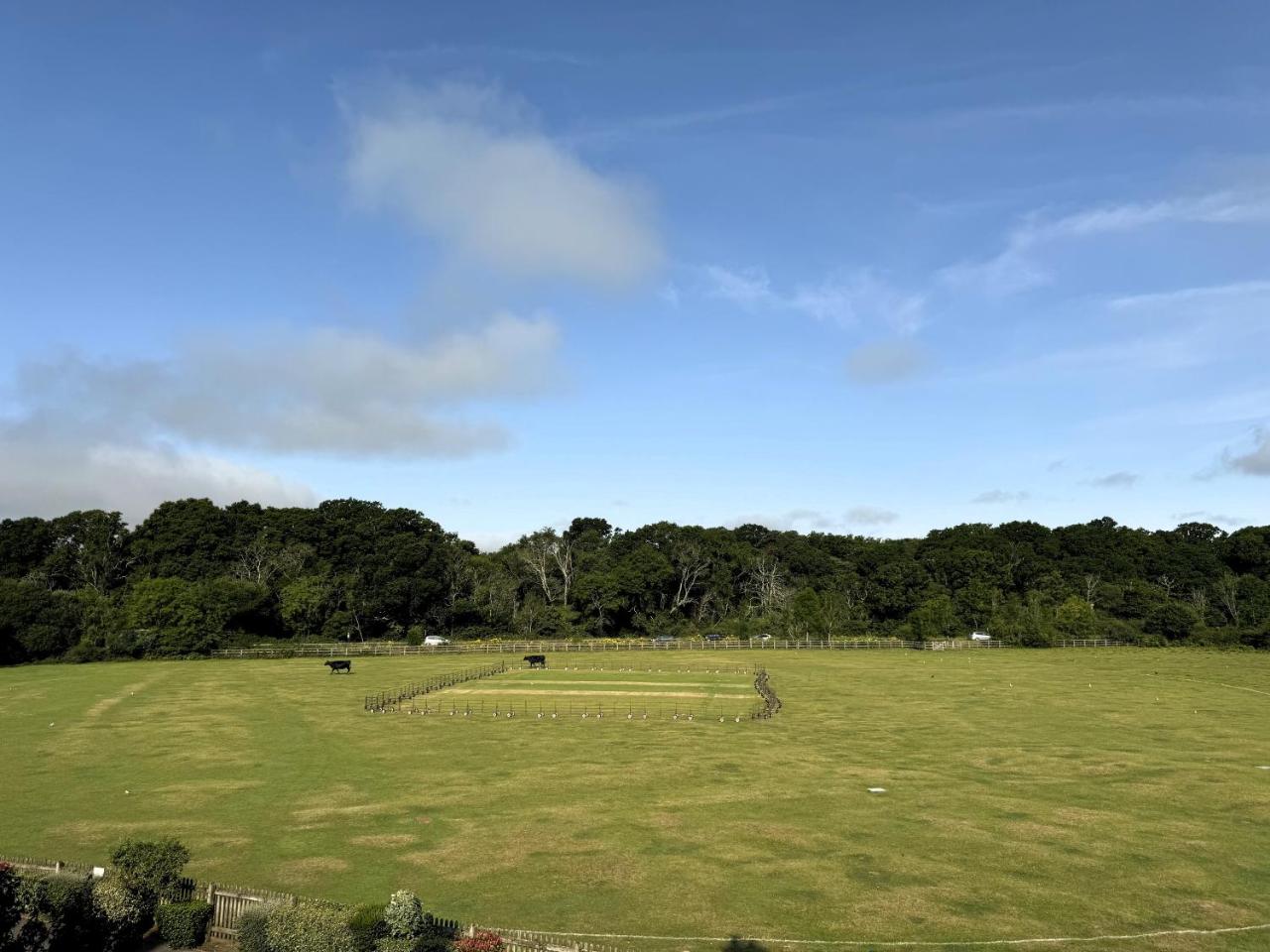 Balmer Lawn - 2