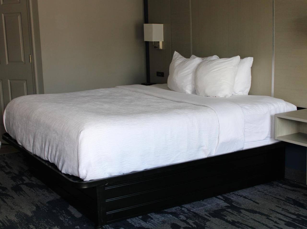 Quality Inn Scottsboro US/72-Lake Guntersville Area
