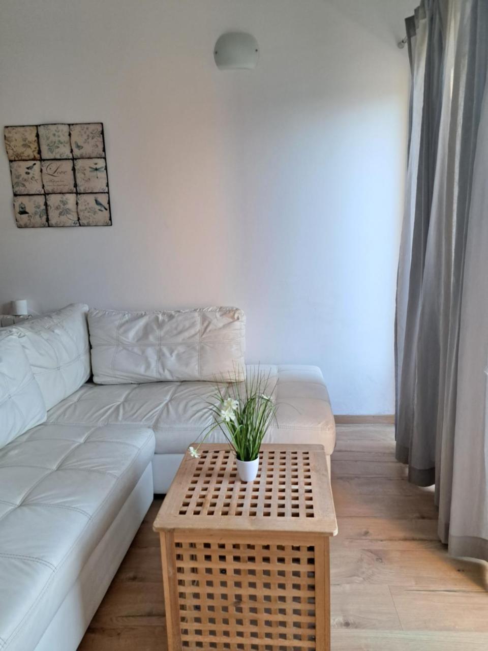Apartment Oliva Volme - 5