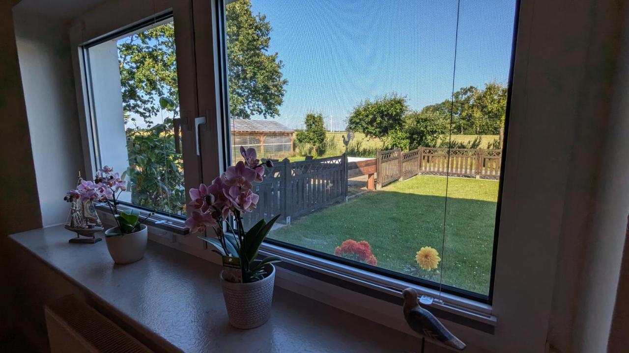 Ferienwohnung Sonja - 5