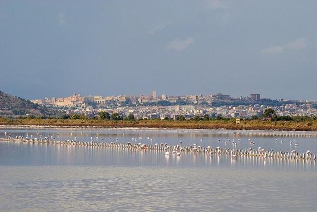 Su Foghile - 4