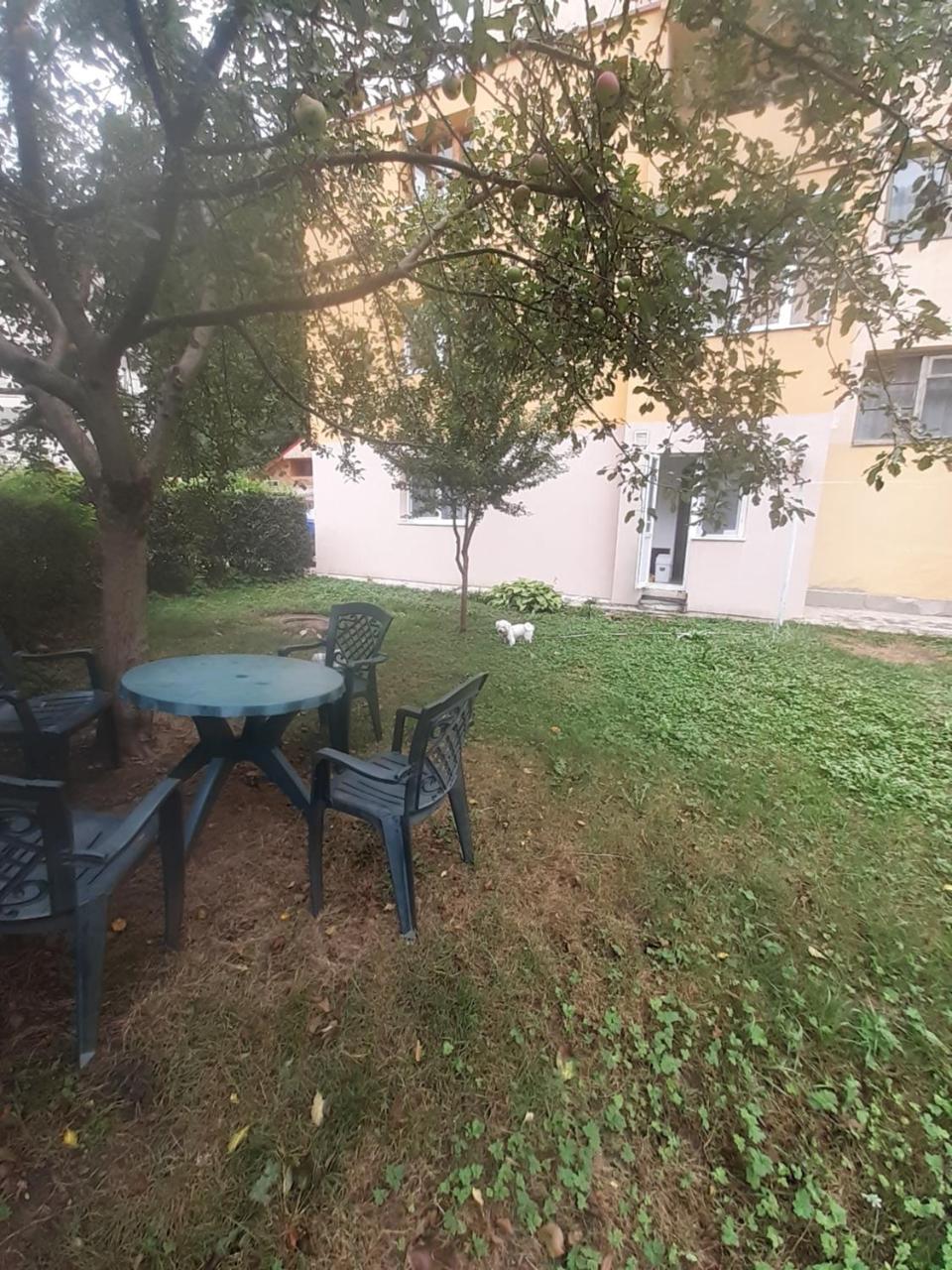 Apartament PARTER CU GRADINA - 5