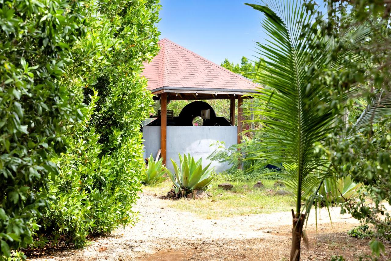 Red Palm Village photo 4
