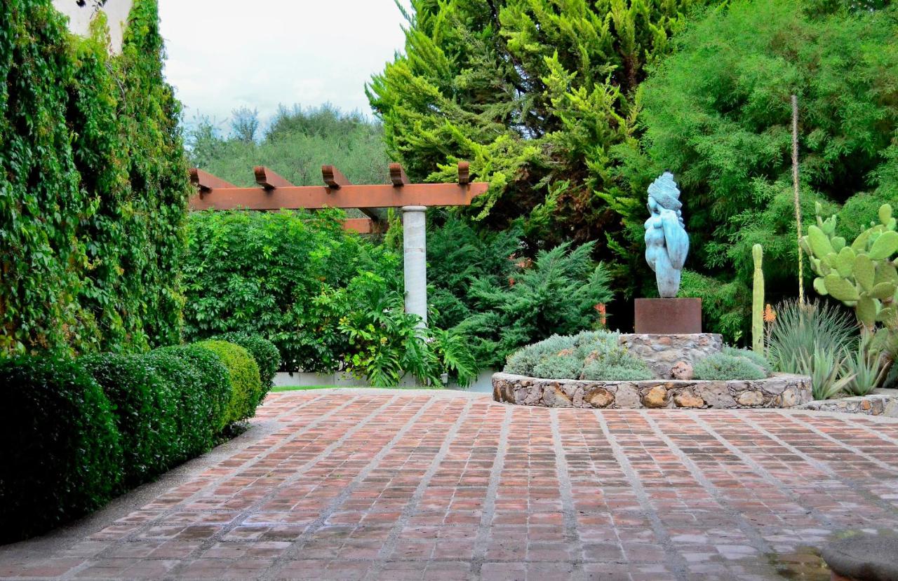 Rancho Labradores photo 4