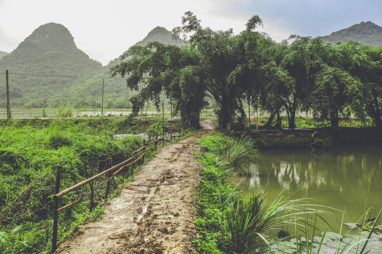 Tam Coc Rice Fields Resort photo 4