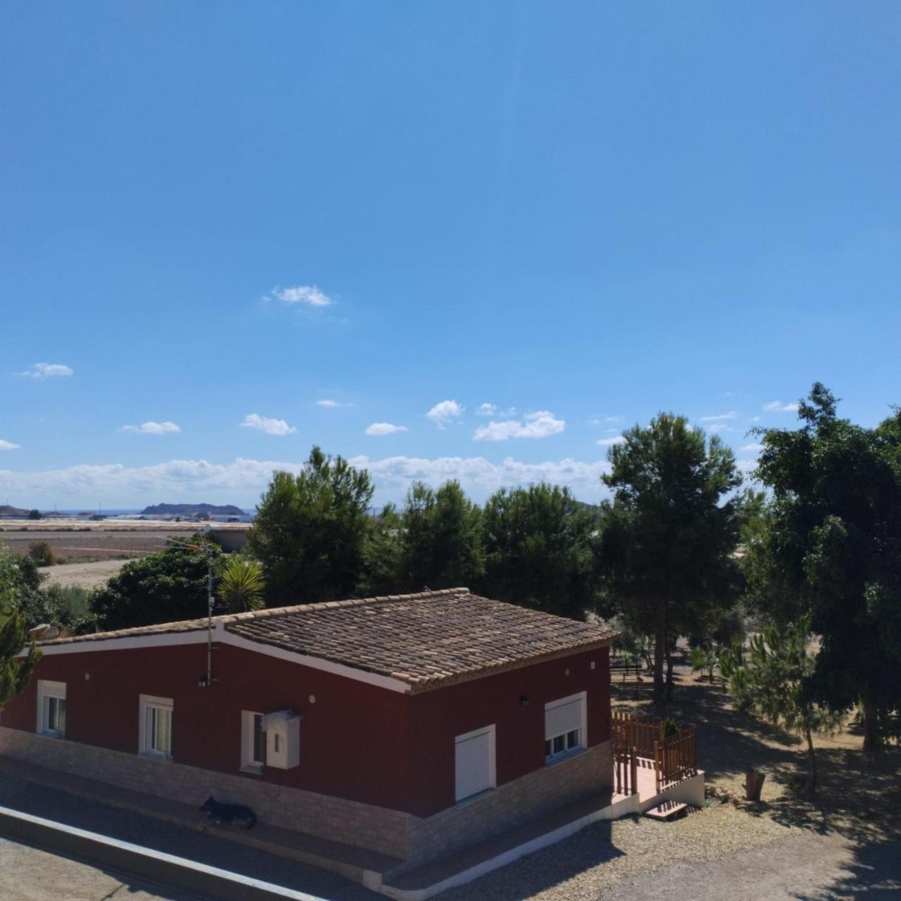 VENTA PURA - 6