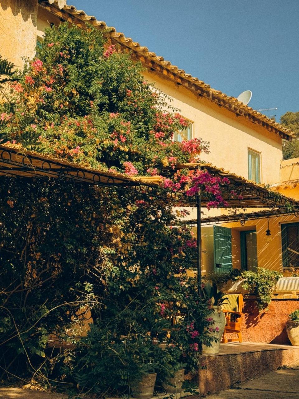 Corte Boero Bed&Breakfast - 4