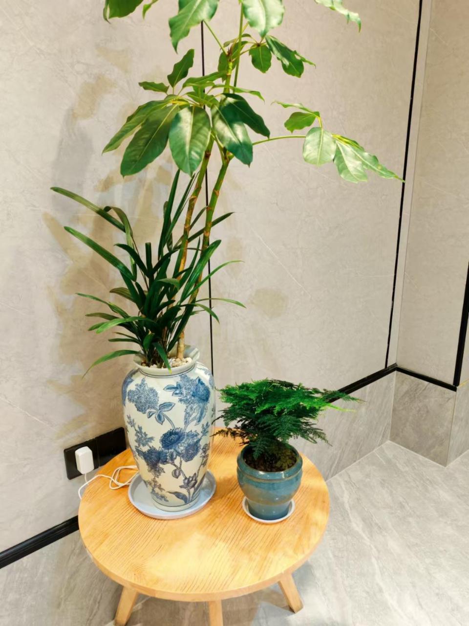 Elan hotel Hotel - Nanjing Zhongshan Mausoleum Scenic Area South Technology photo 4