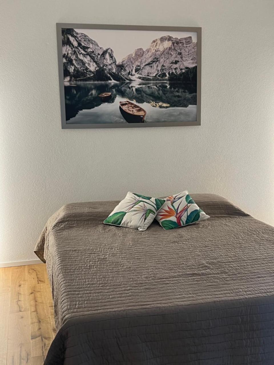 Modern Luxury Apartment Near Airport & Zurich City - 6