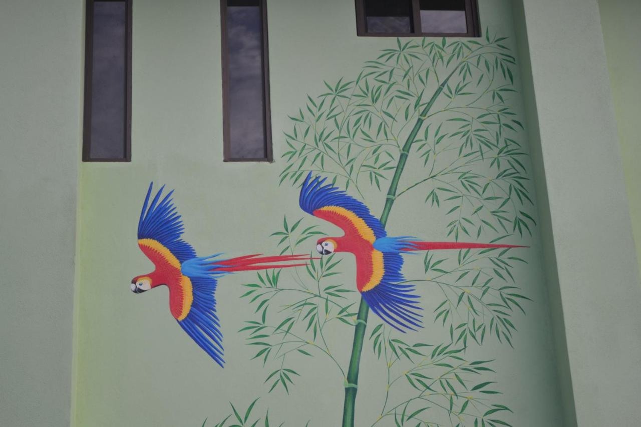 Mavi Surf Hotel Dominical photo 4