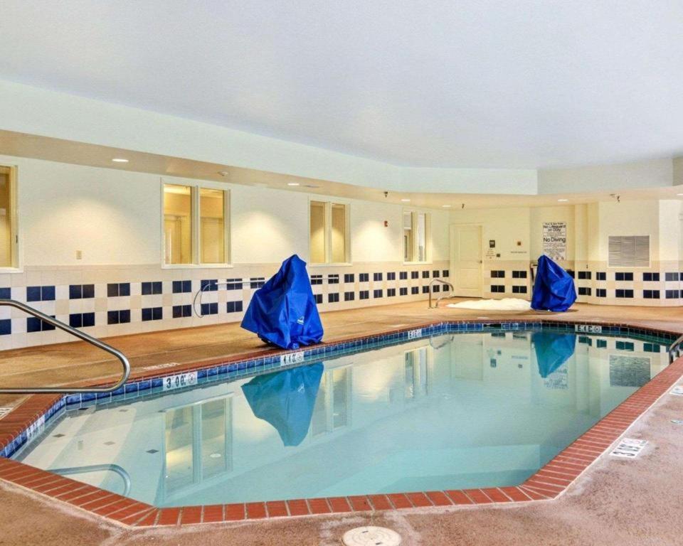 Comfort Suites near Hot Springs Park photo 4