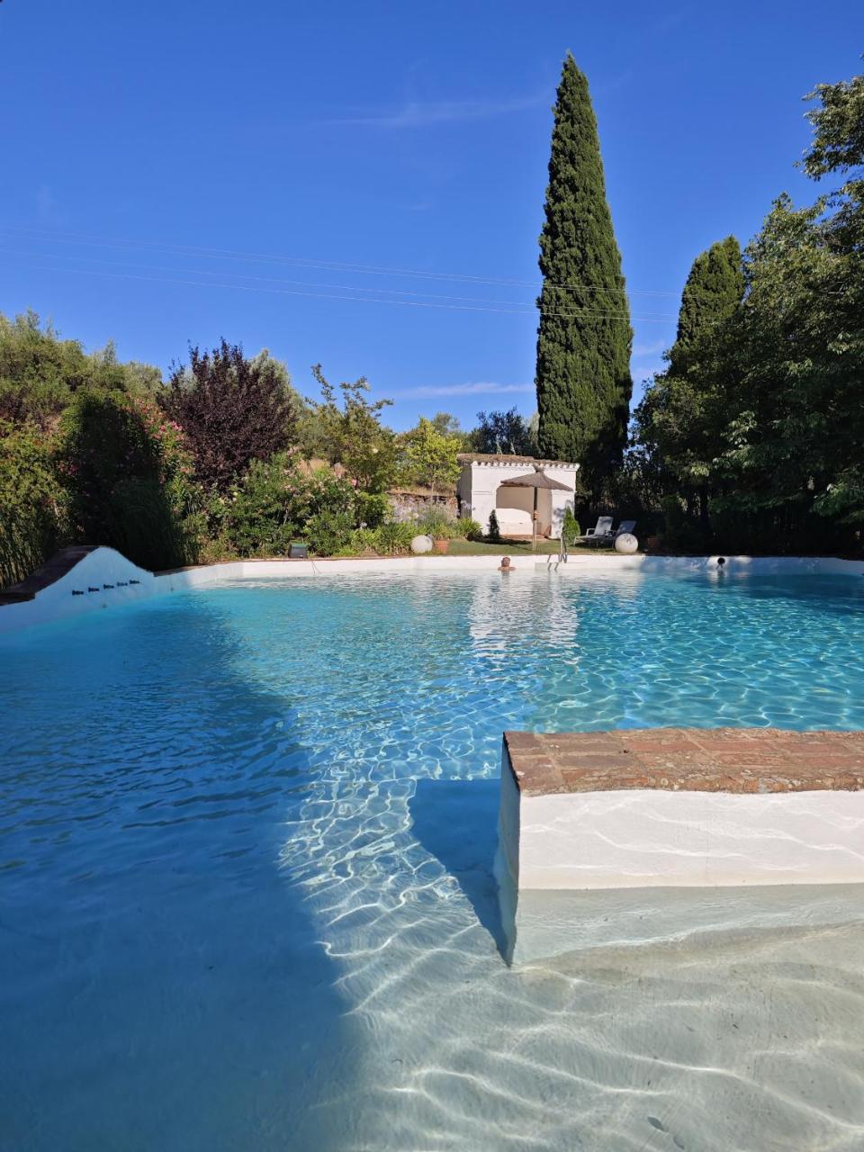 Finca La Favorita- Suites photo 3