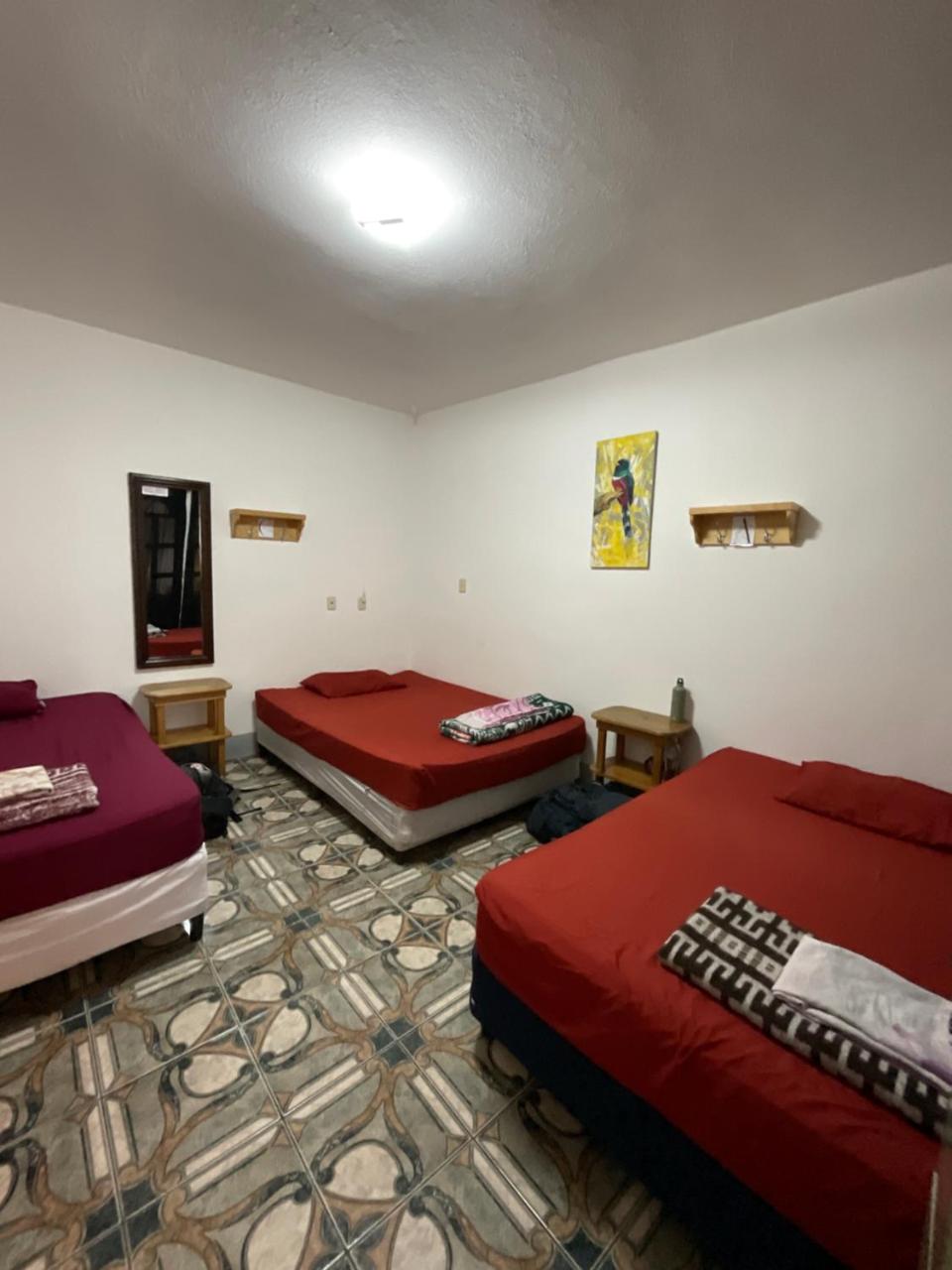 Mandala’s Hostal photo 2