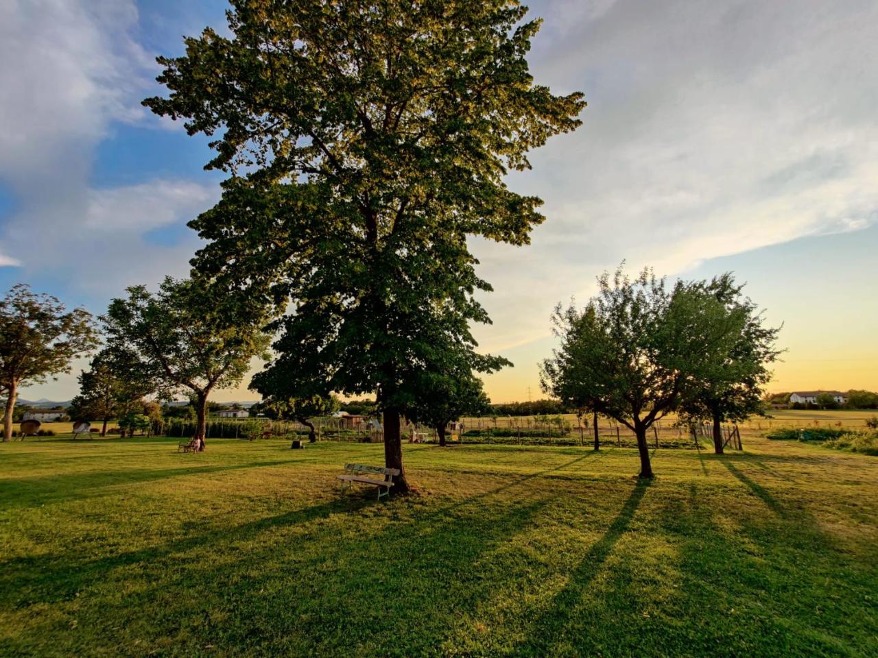 Antico Podere Emilia photo 4