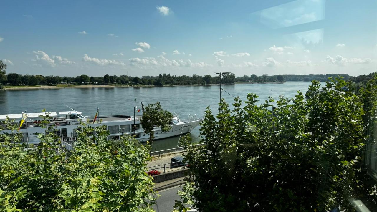 Foto - Rhein-Hotel Nierstein
