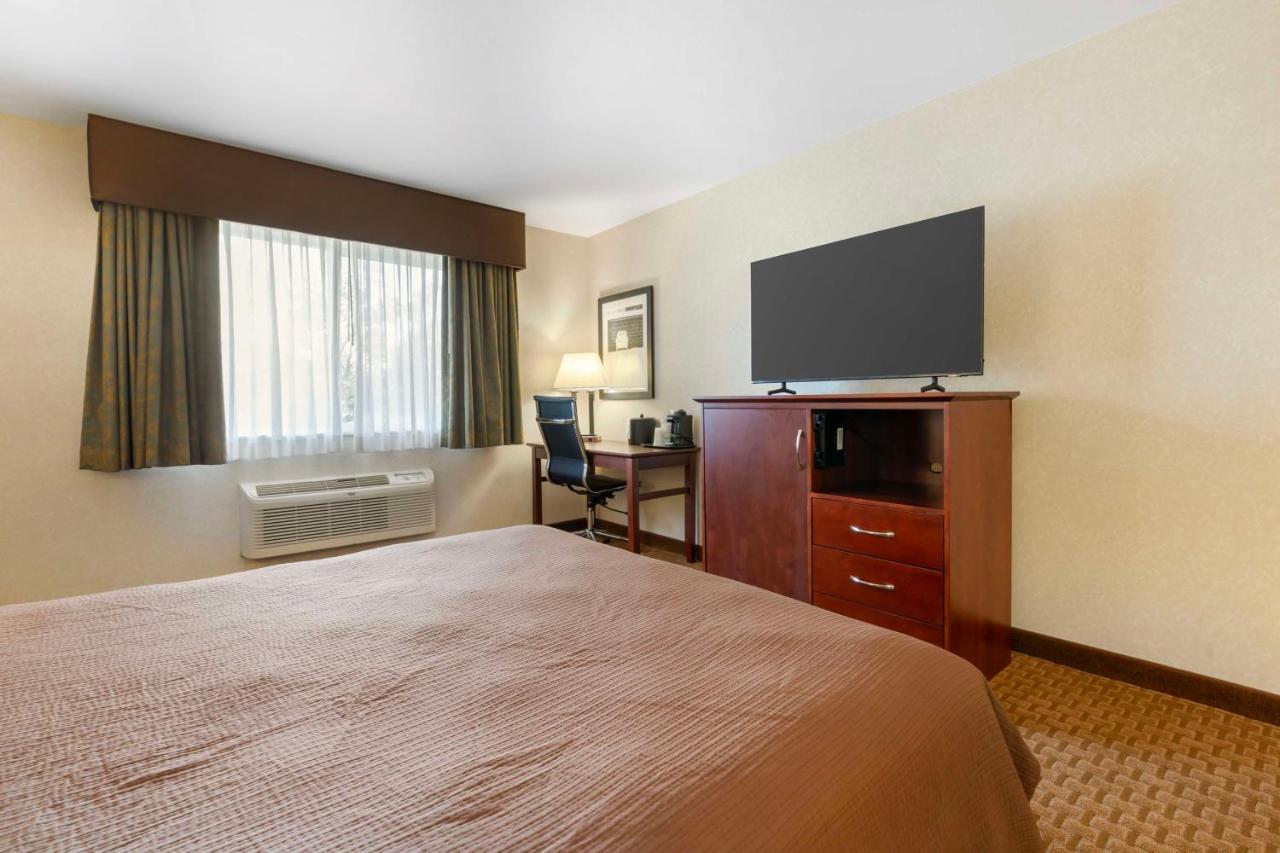 Best Western Wittenberg Inn photo 3
