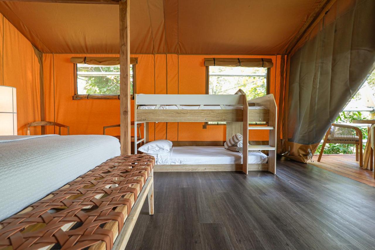 Daintree Beach Resort photo 2