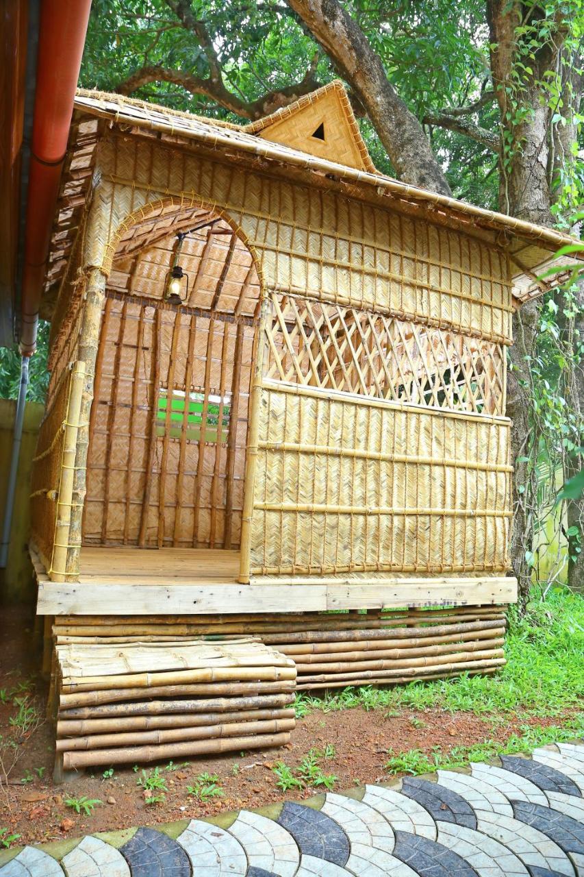 Pearl Beach Bungalow photo 3