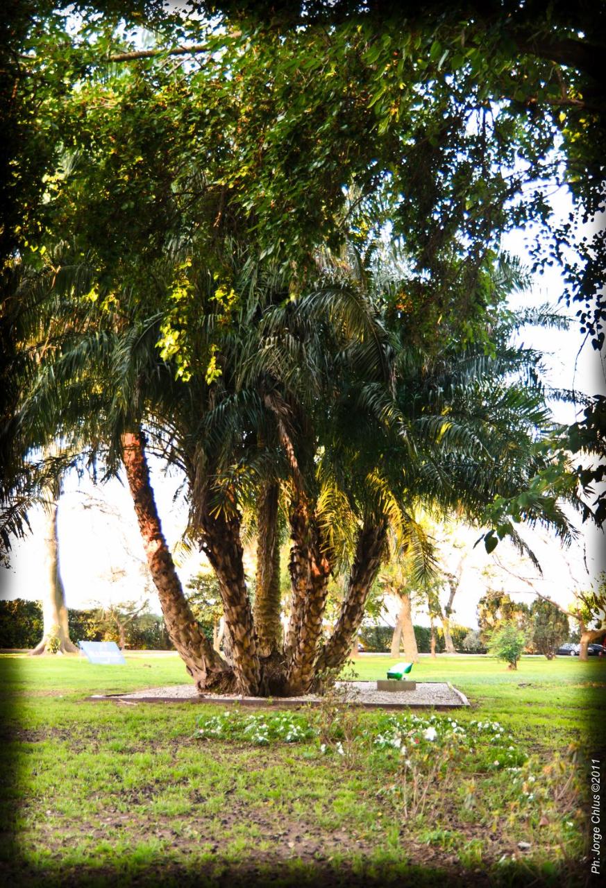 Hotel de Campo Colón Resort and Spa photo 2
