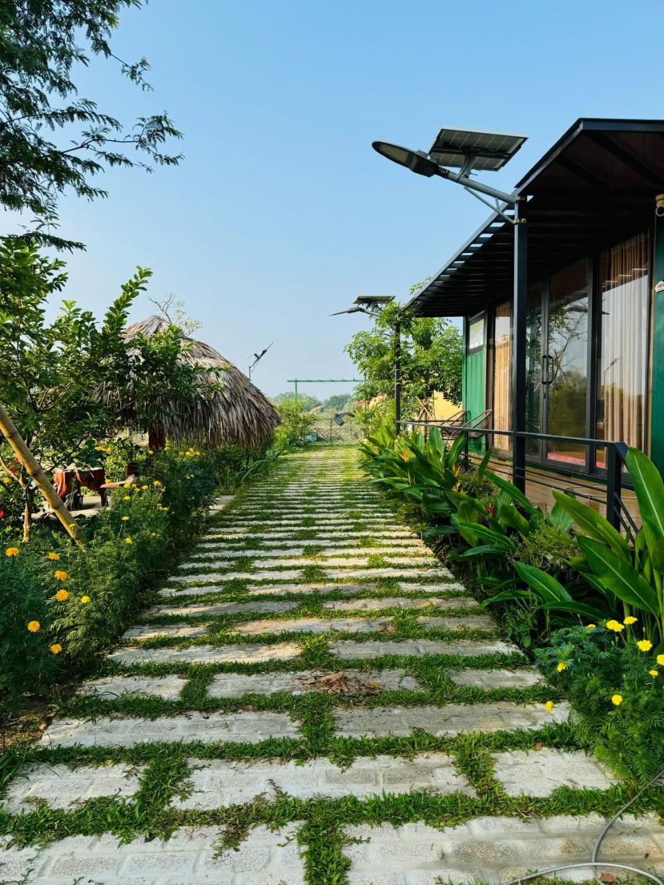 NHA VIET Homestay photo 3