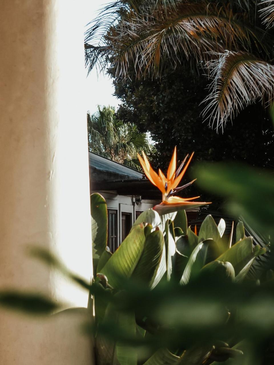 Foto - King George's Guest House