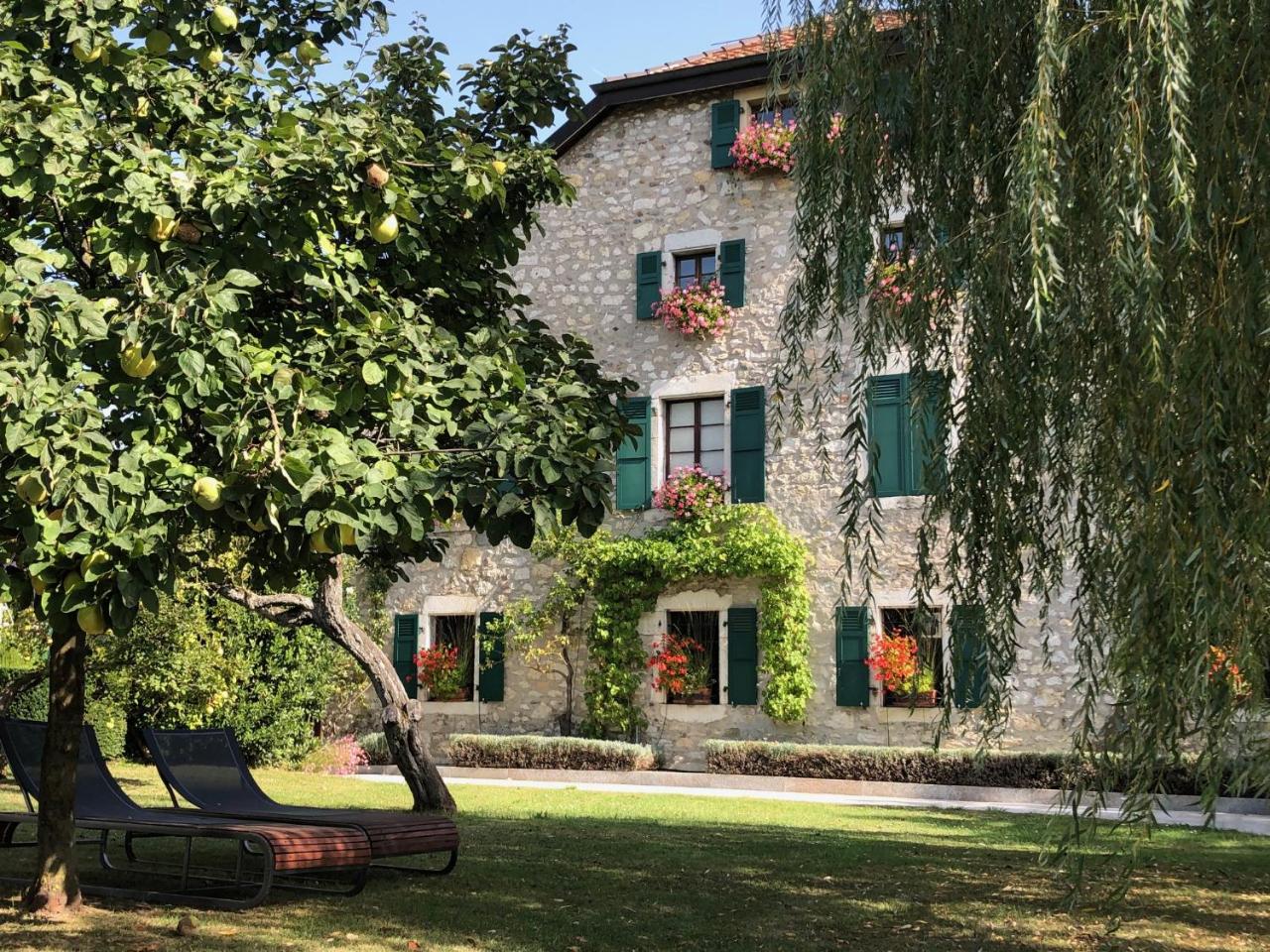 Foto - Domaine de Châteauvieux