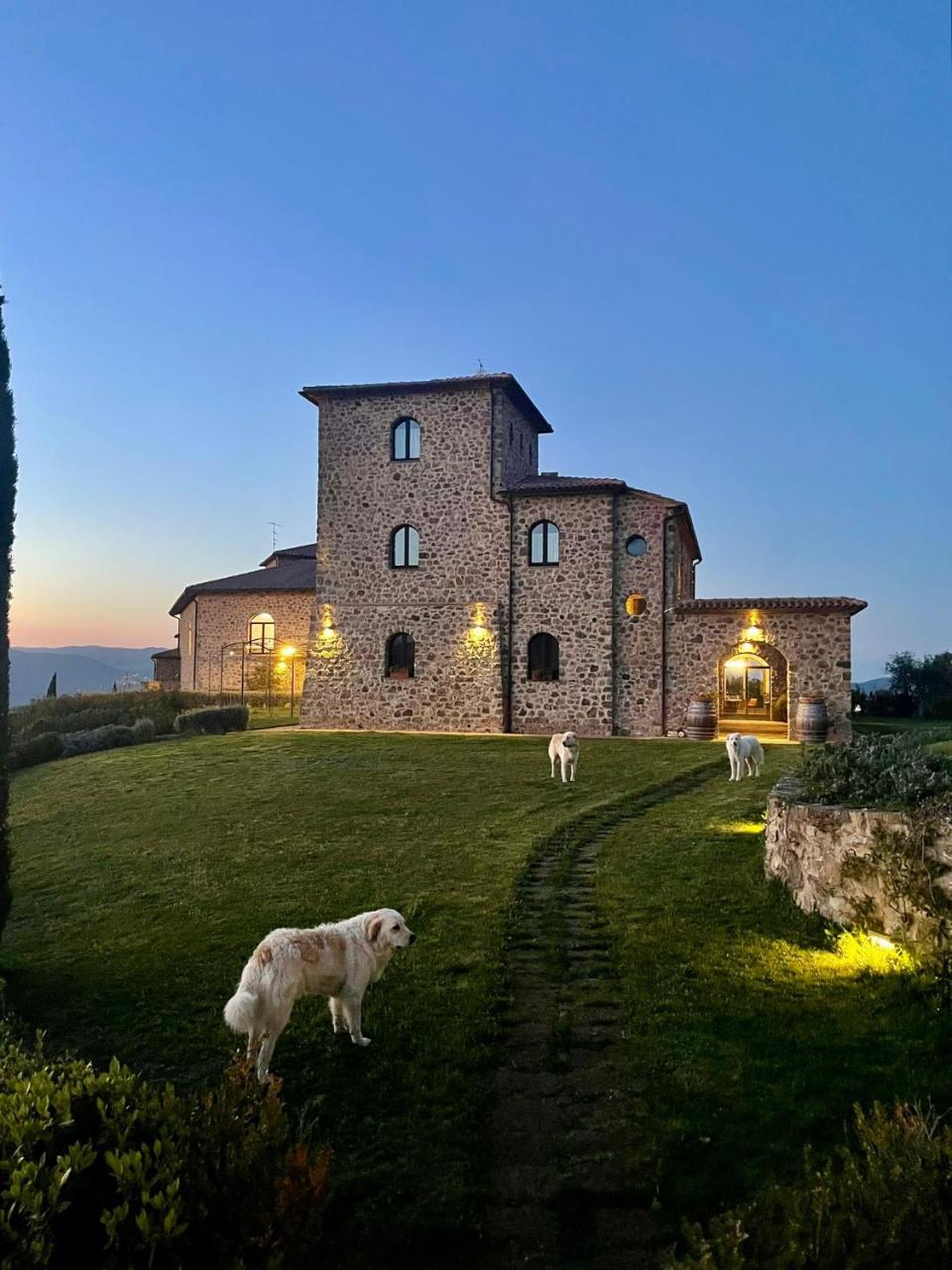 Podere Montale Winery - 4