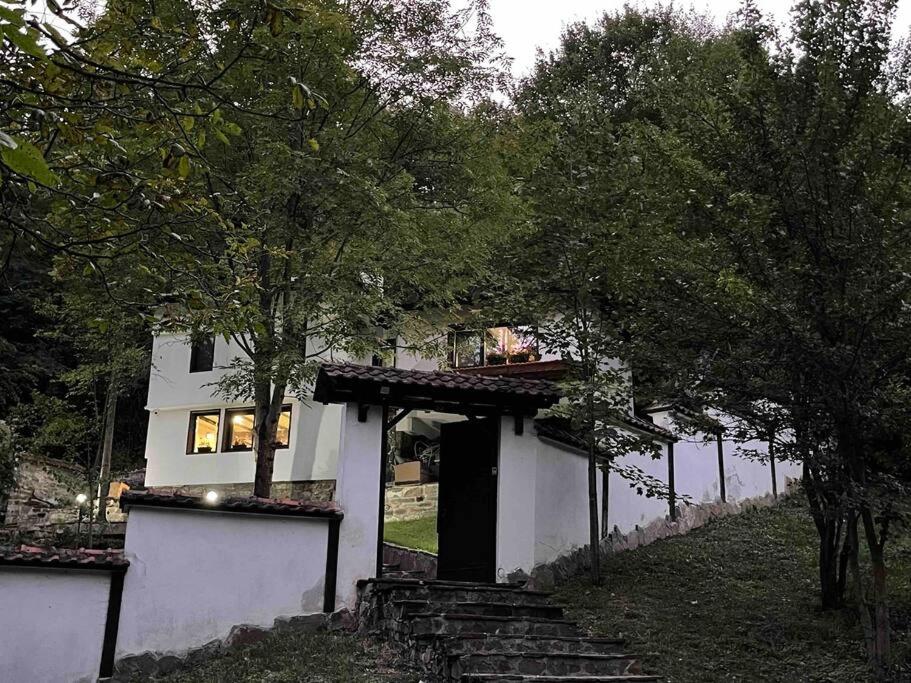 Forest Hill - 3