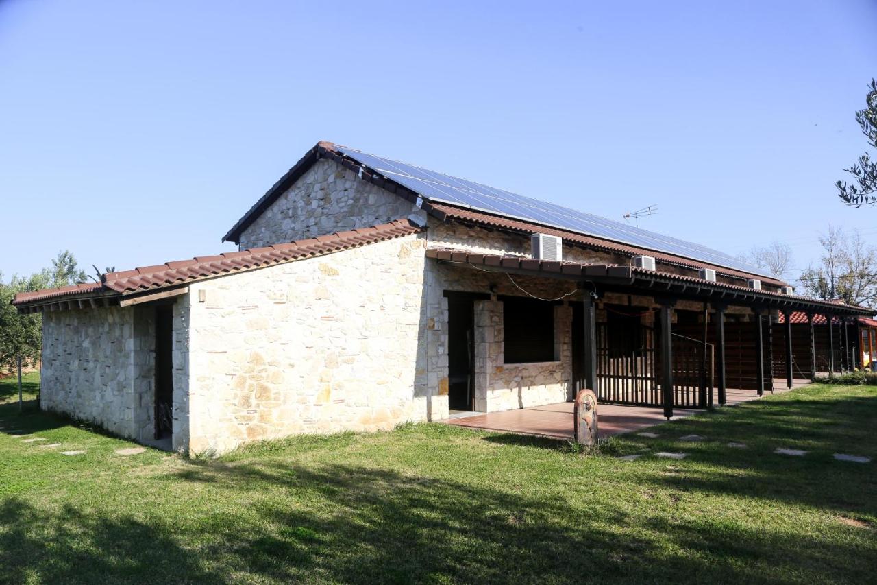 Gioulis Apartments & Studios - 3