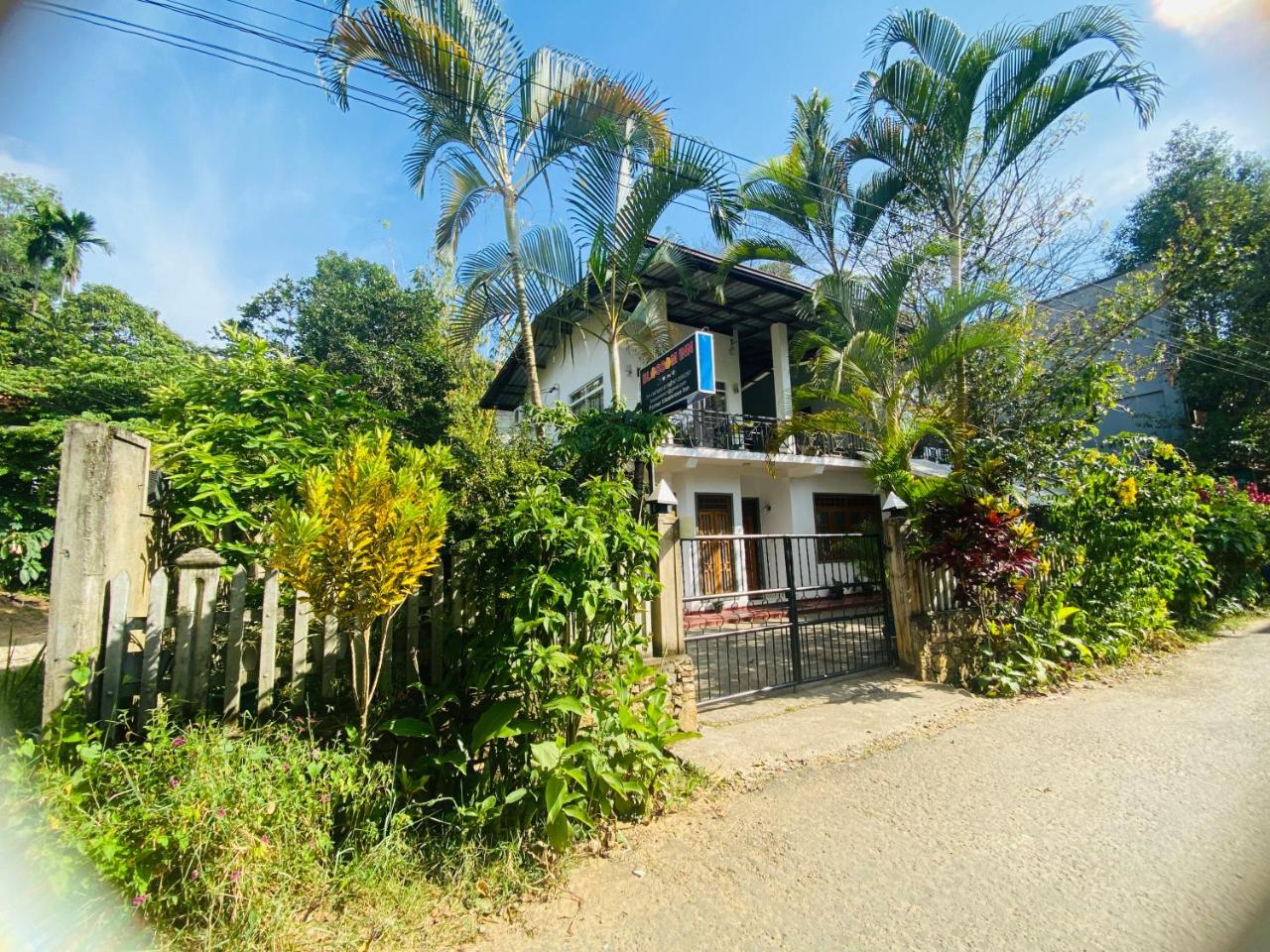 Blossom Inn