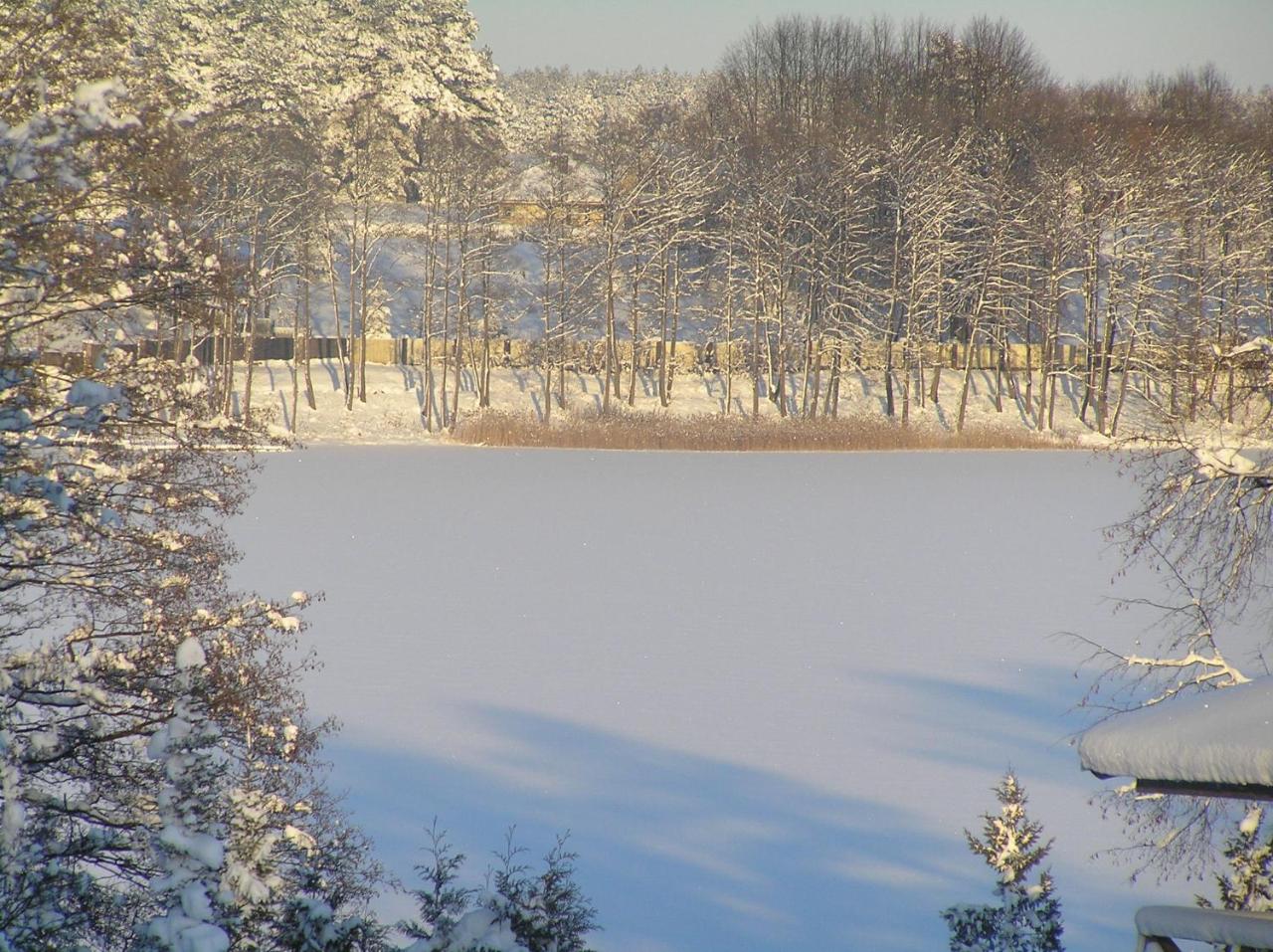 Margis Hotel & SPA photo 2
