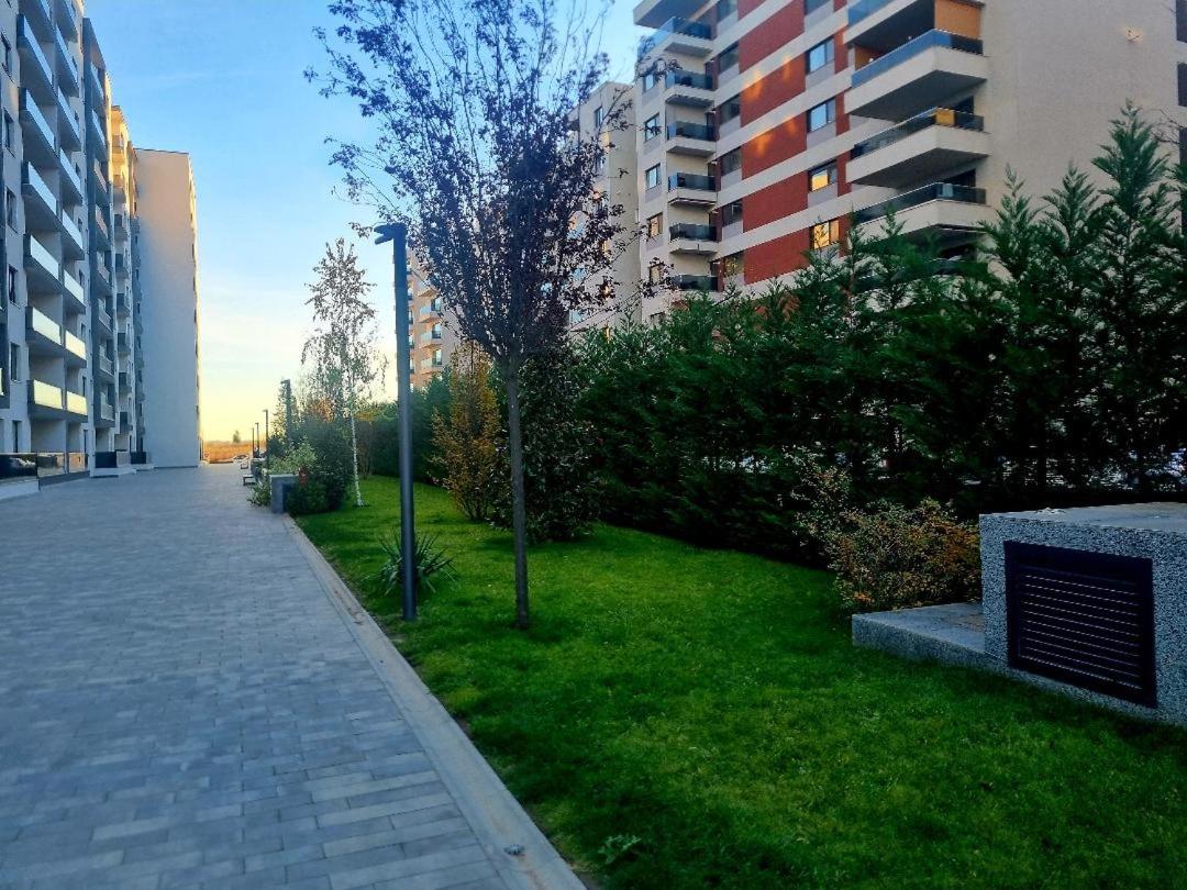Happy Studio Luxury Pipera - 5