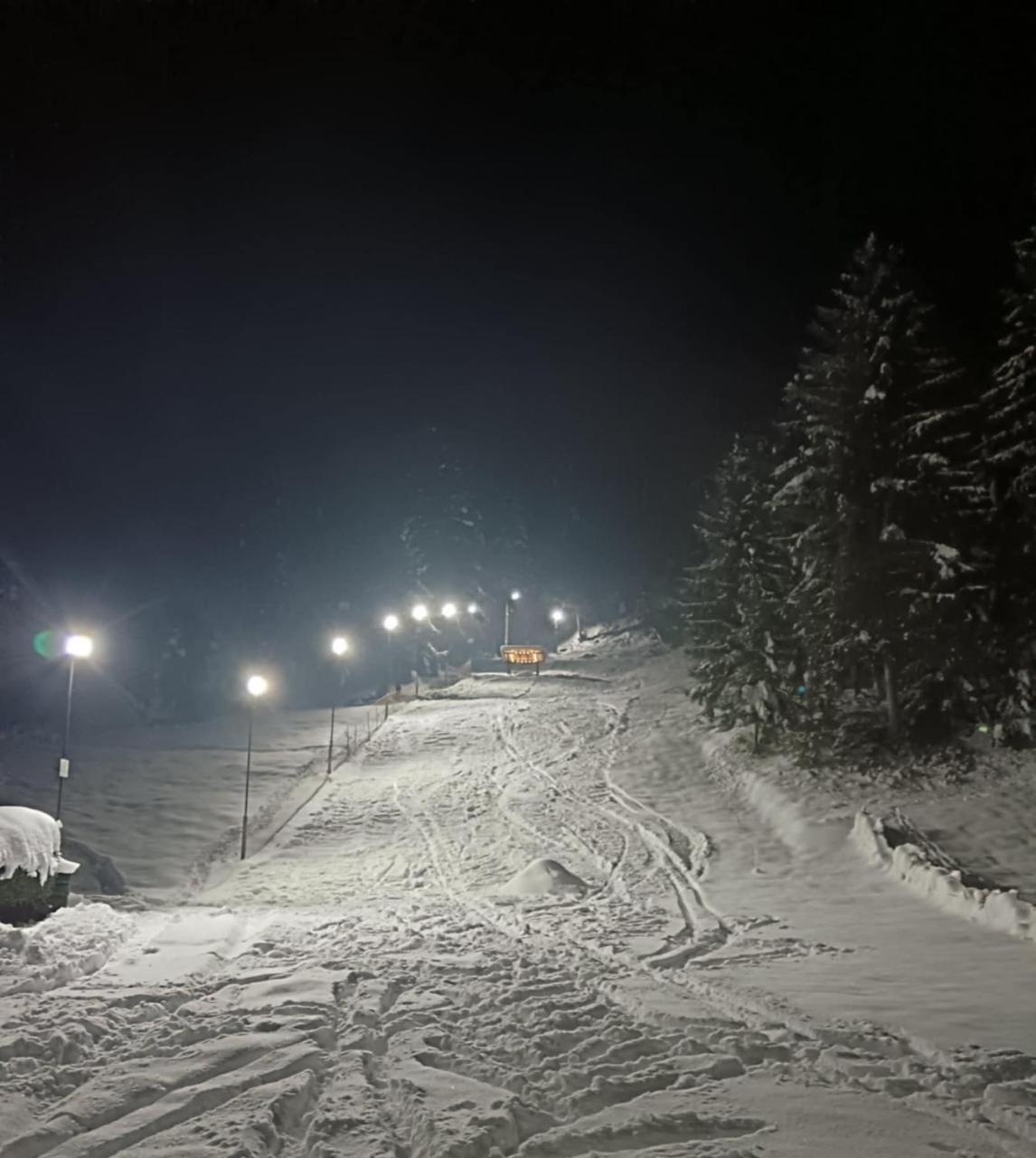 Schwarz Kabin photo 3