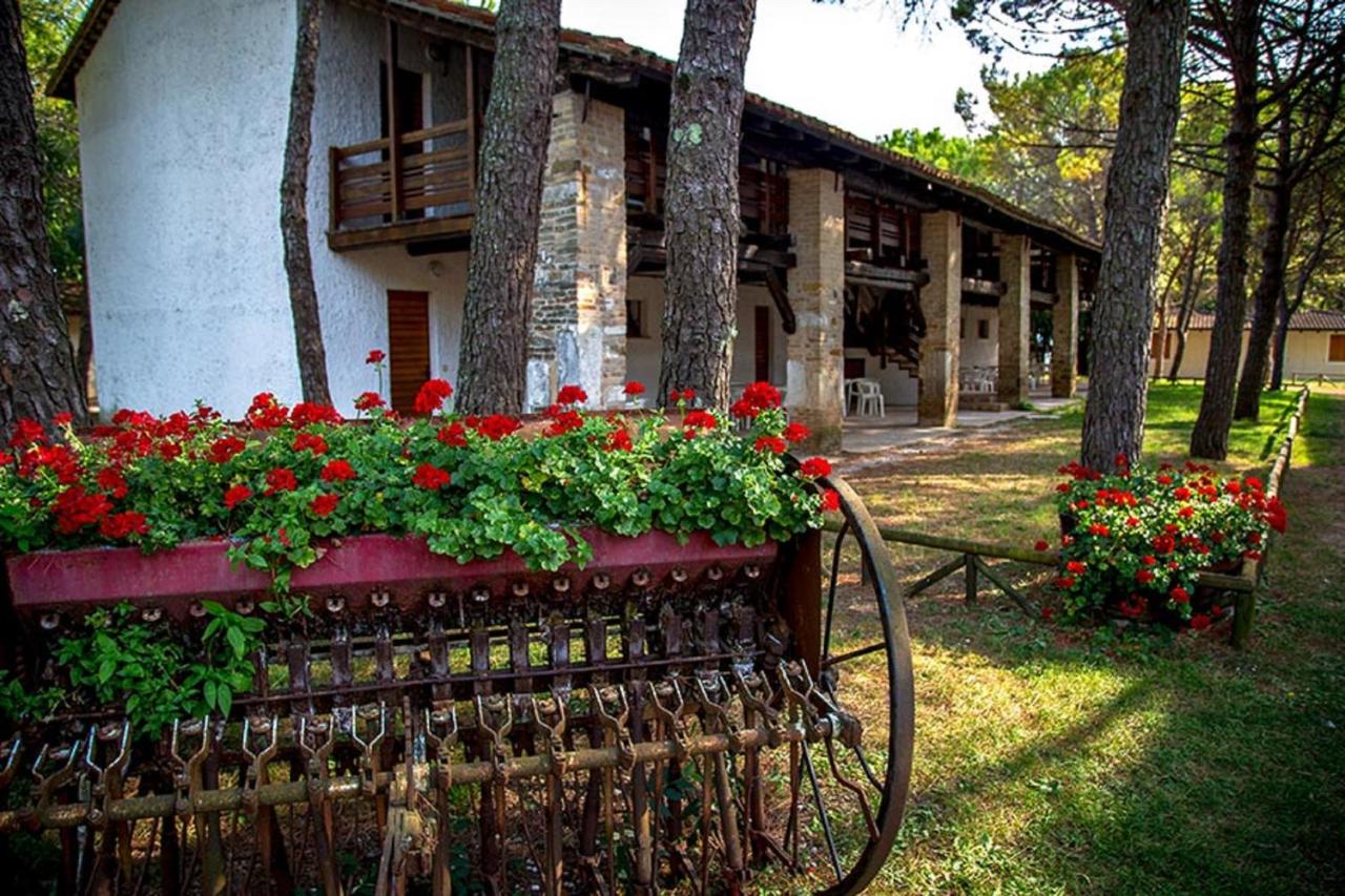 Photo - Belvedere Pineta Camping Village Grado