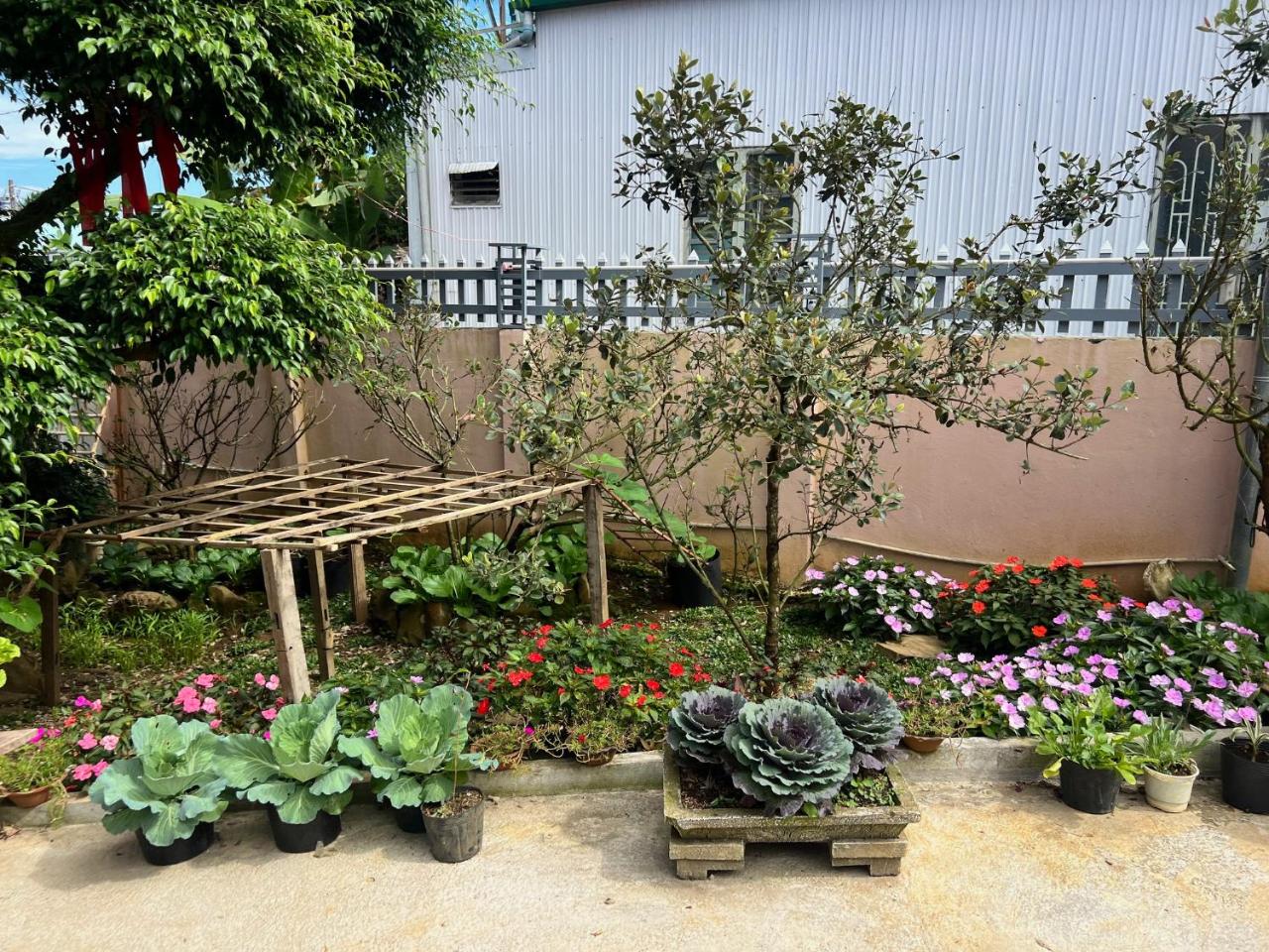 Homestay Bảo Lộc Ngọc Kim photo 3