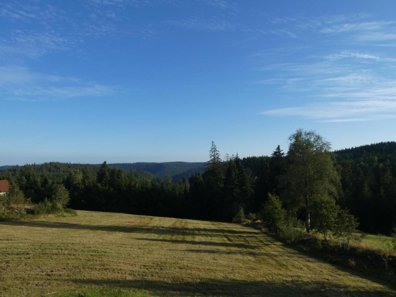Naturapartment SCHWARZWALDSEELE Kniebis - 3