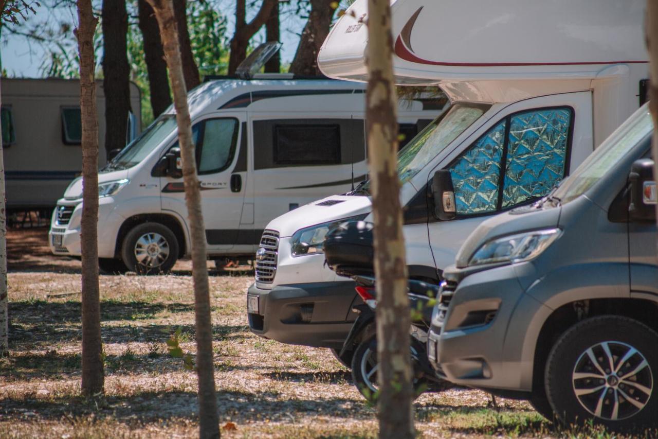 MCM Camping photo 3
