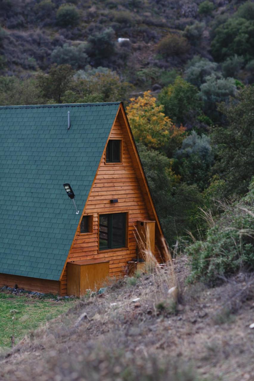 Cozy Glamping Cabin for Couples and Families - 3