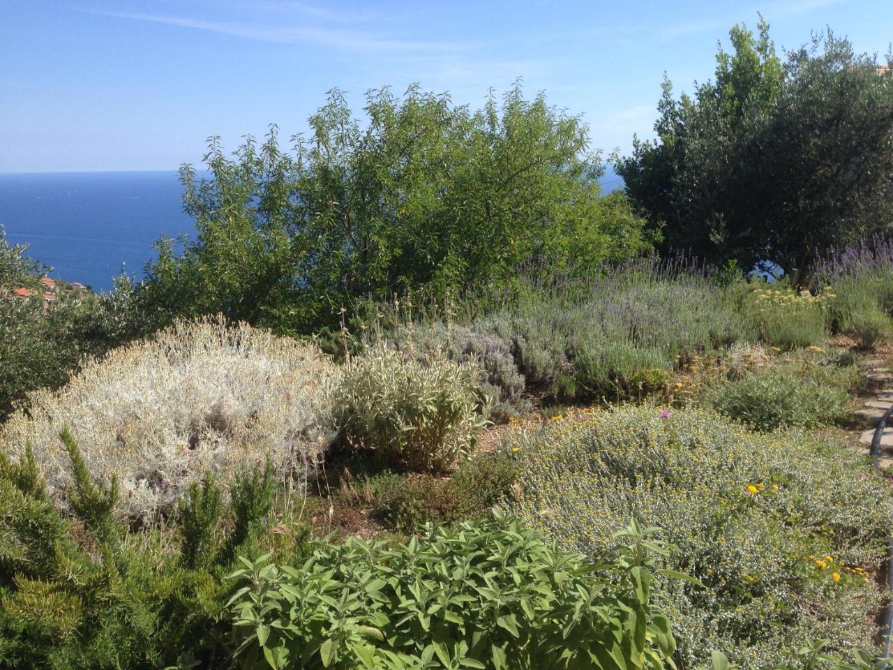 Il Nettare photo 4