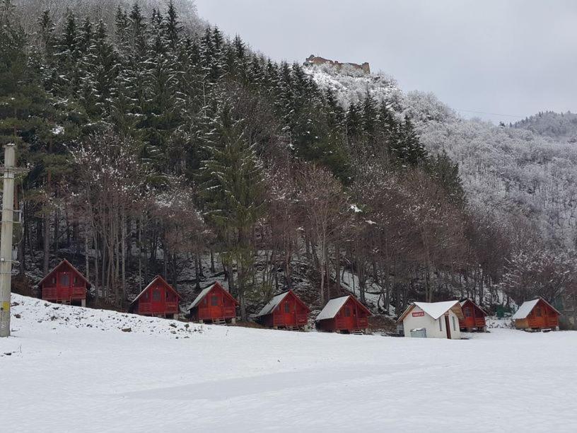 CABANUTE si CAMPING DRACULA photo 3