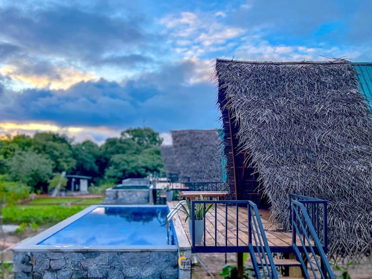 Habarana Tree House Ambasewana Resort photo 4
