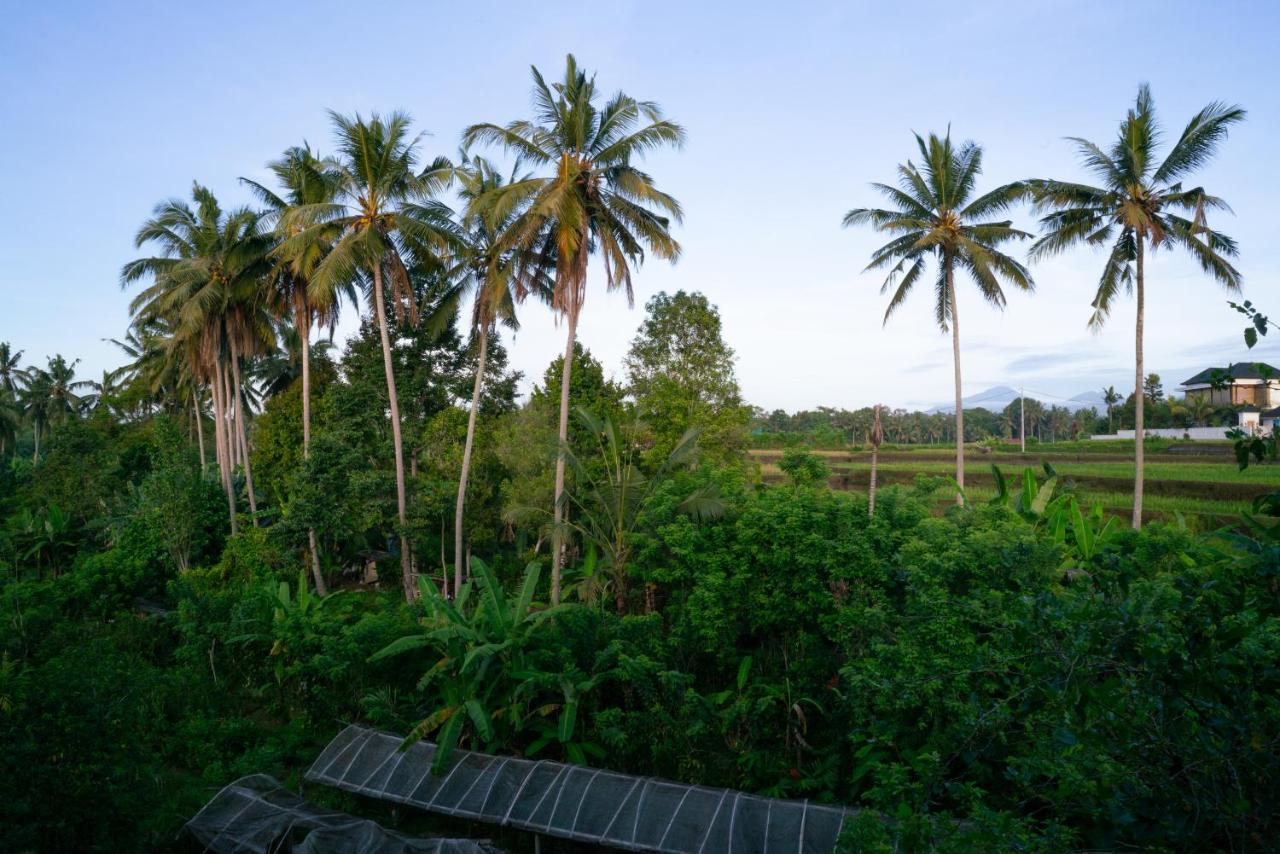 Karang Lila Bhuana Ubud photo 3