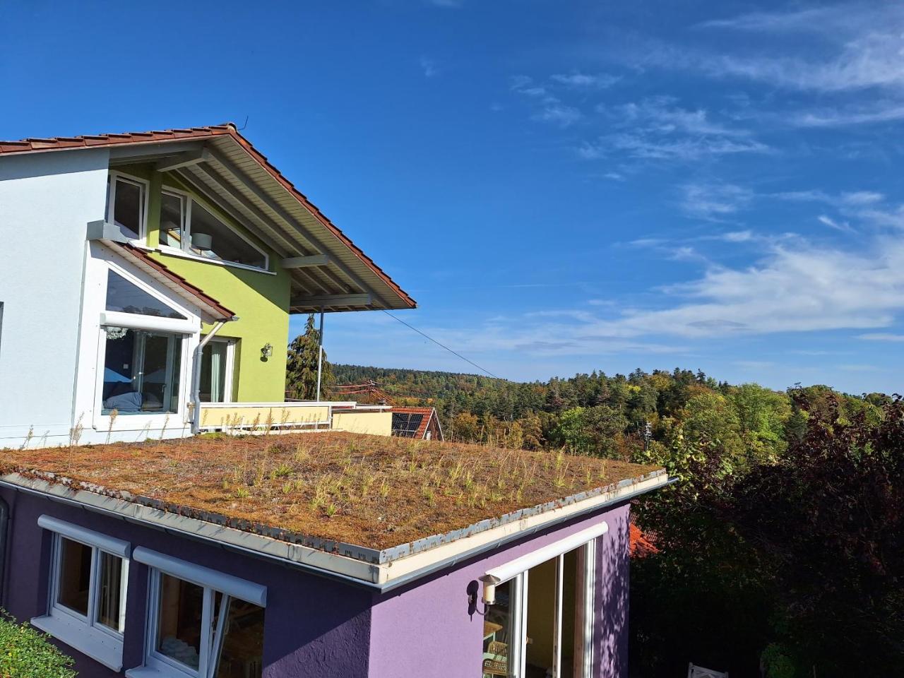Ausblick Maisenbach - 2