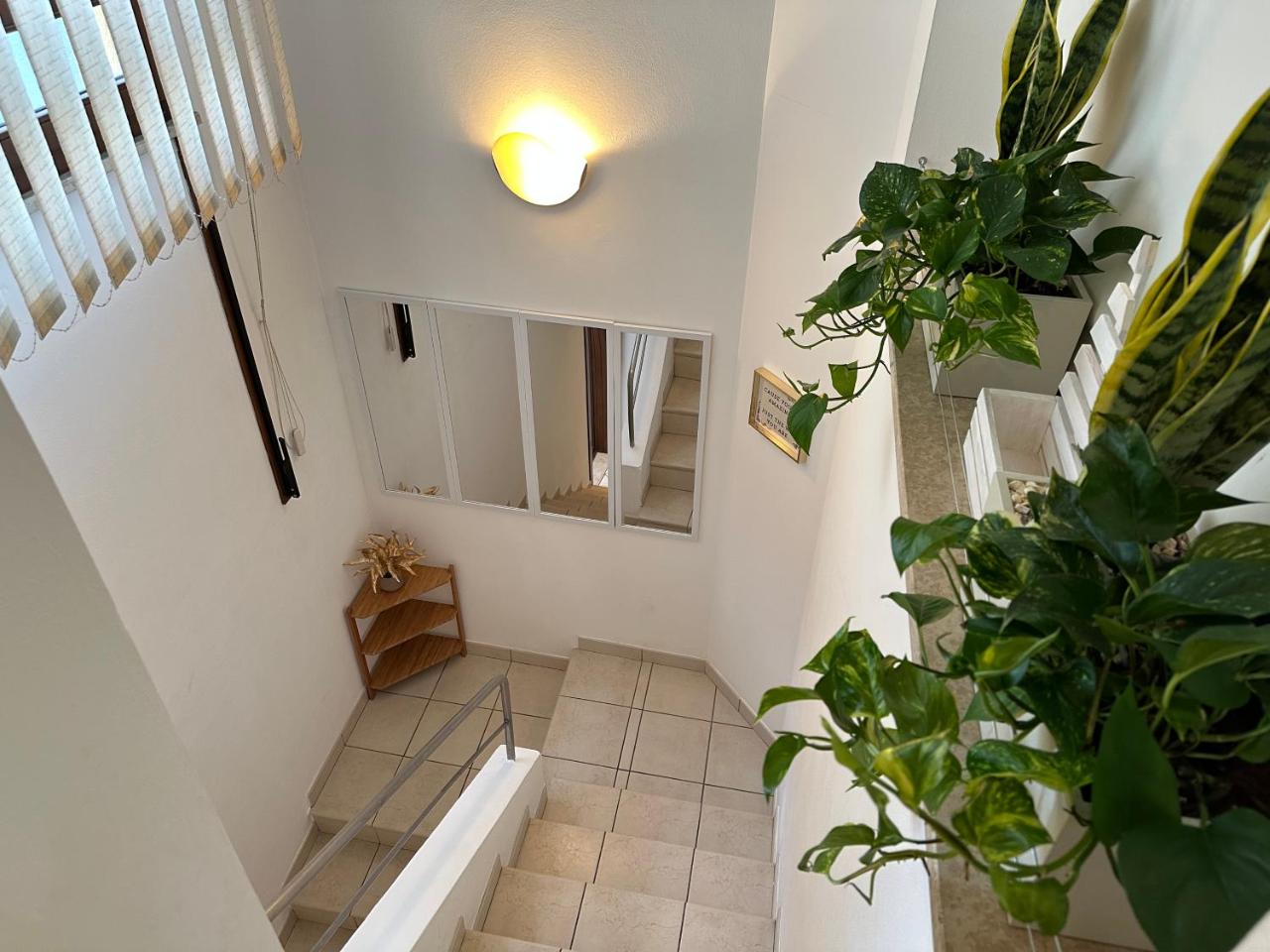 Domus Sofia Historic Center Rimini Apartment - 6