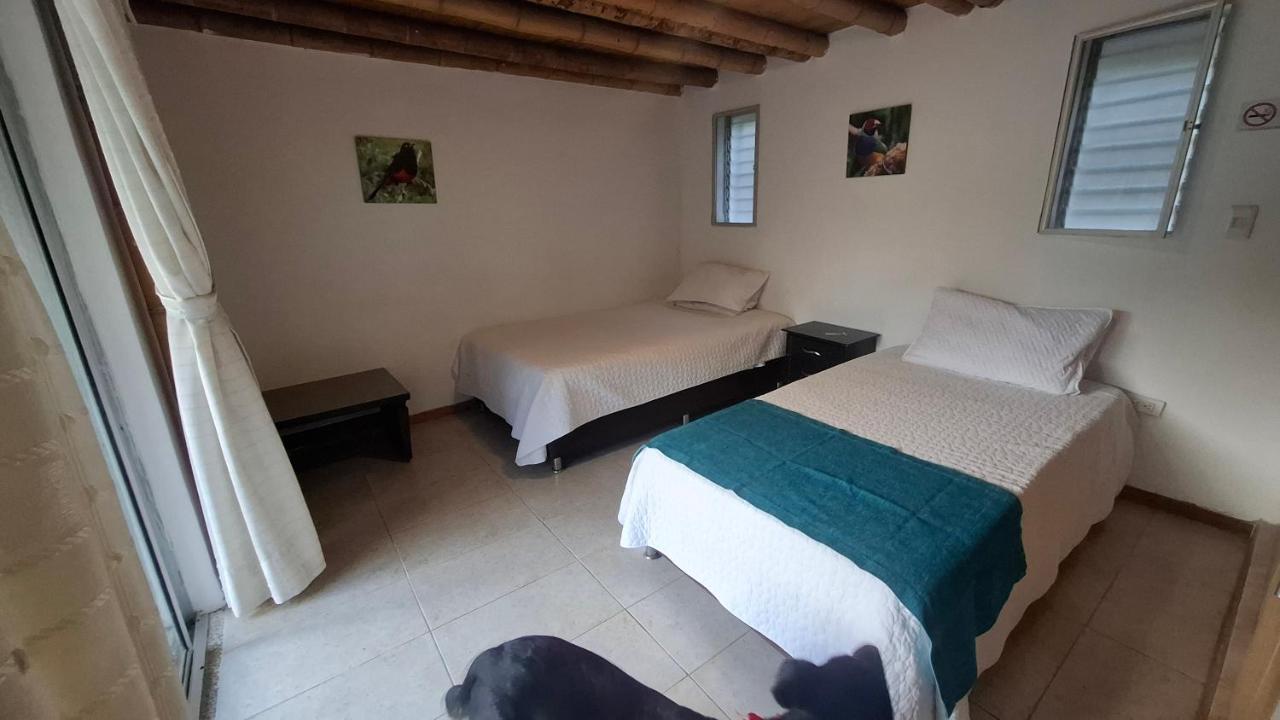 Iraka Campestre Quindio photo 4