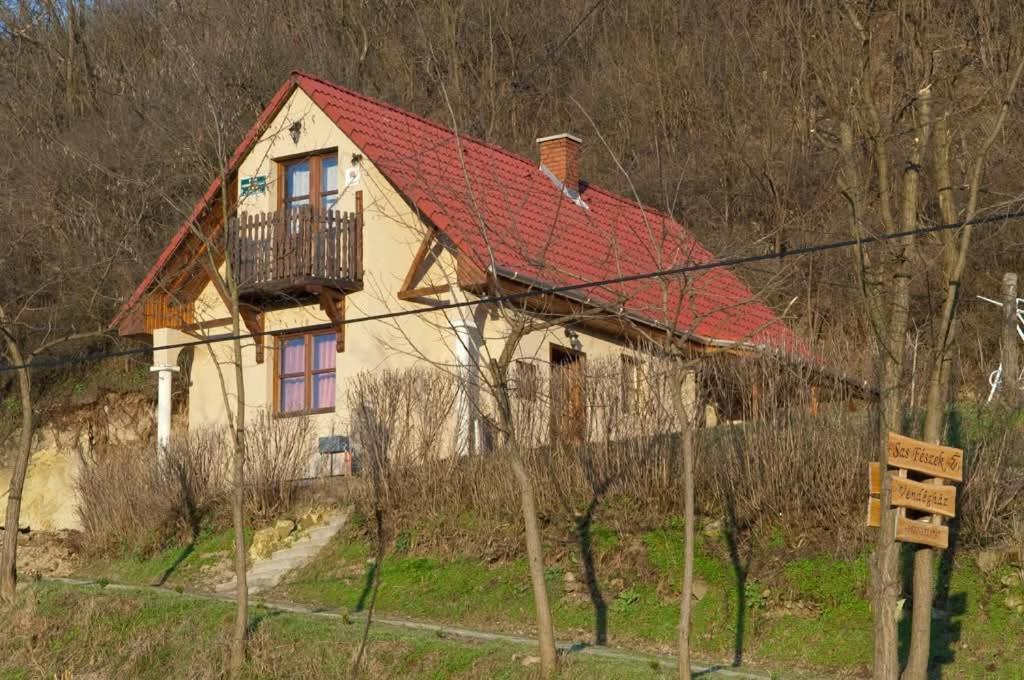 Sas-Fészek Vendégház - 3