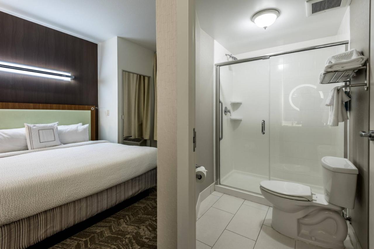 SpringHill Suites by Marriott Statesboro University Area photo 4