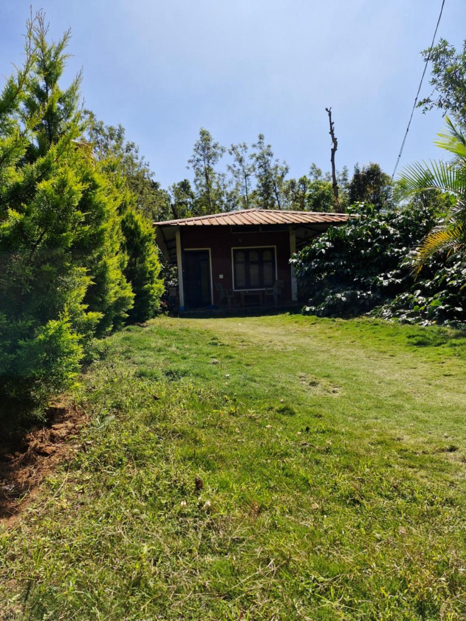 Athena Homestay