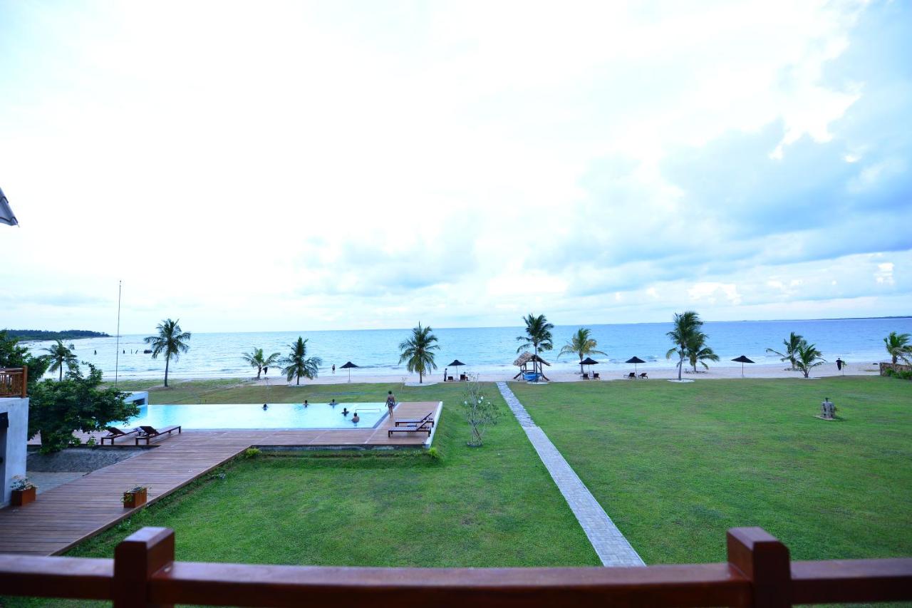 Laya Waves photo 4