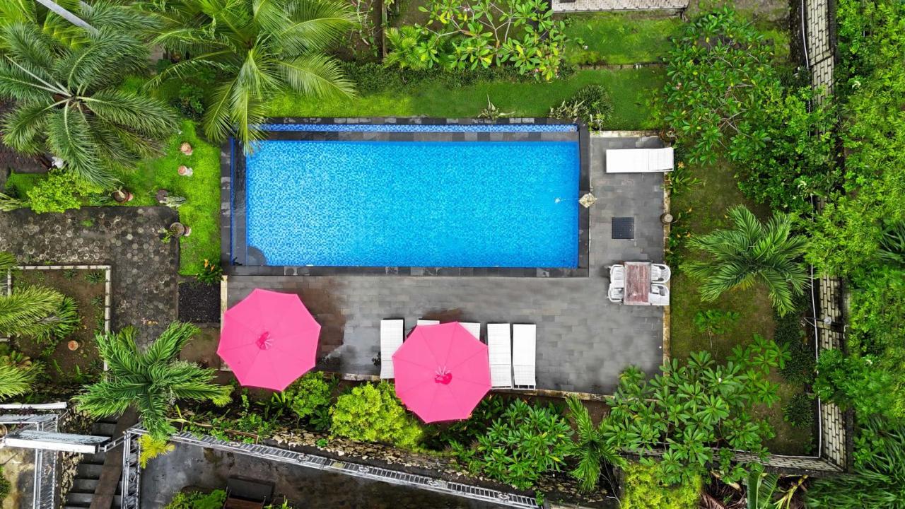 Coconut Hill Cottage photo 2